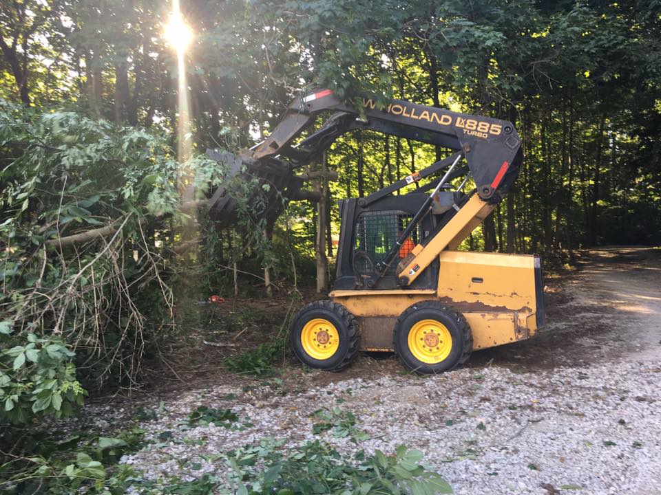wildcat creek tree service professional tree thinning for overcrowded trees in tippecanoe county IN