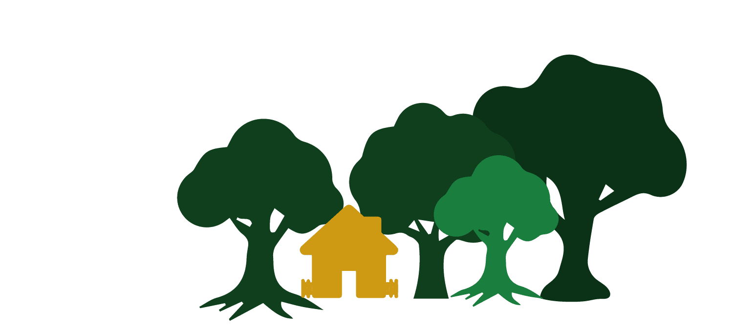 Wildcat Homepage Trees Right Side Wildcat Homepage Trees Right Side