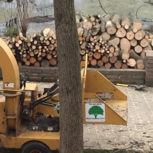 be ready to toast your marshmellows this fall with firewood from wildcat creek tree service lafayette IN