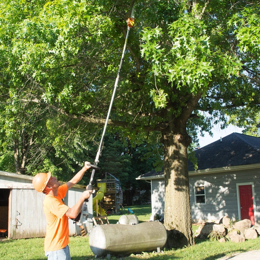 tree trimming and deadwooding in lafayette IN by the professional tree specialists at wildcat creek tree service