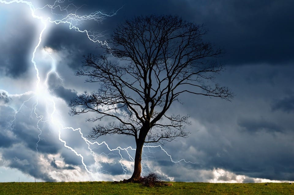 prepare for summer storms with wildcat creek tree service in lafayette indiana