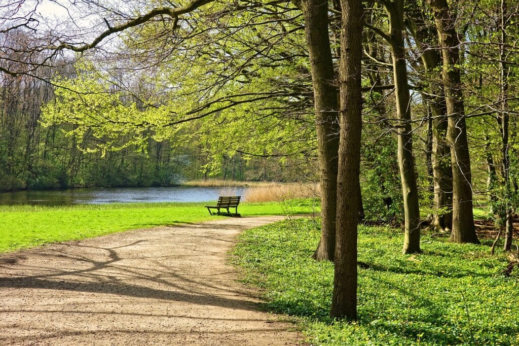 learn more about spring tree care and pruning with wildcat creek tree service